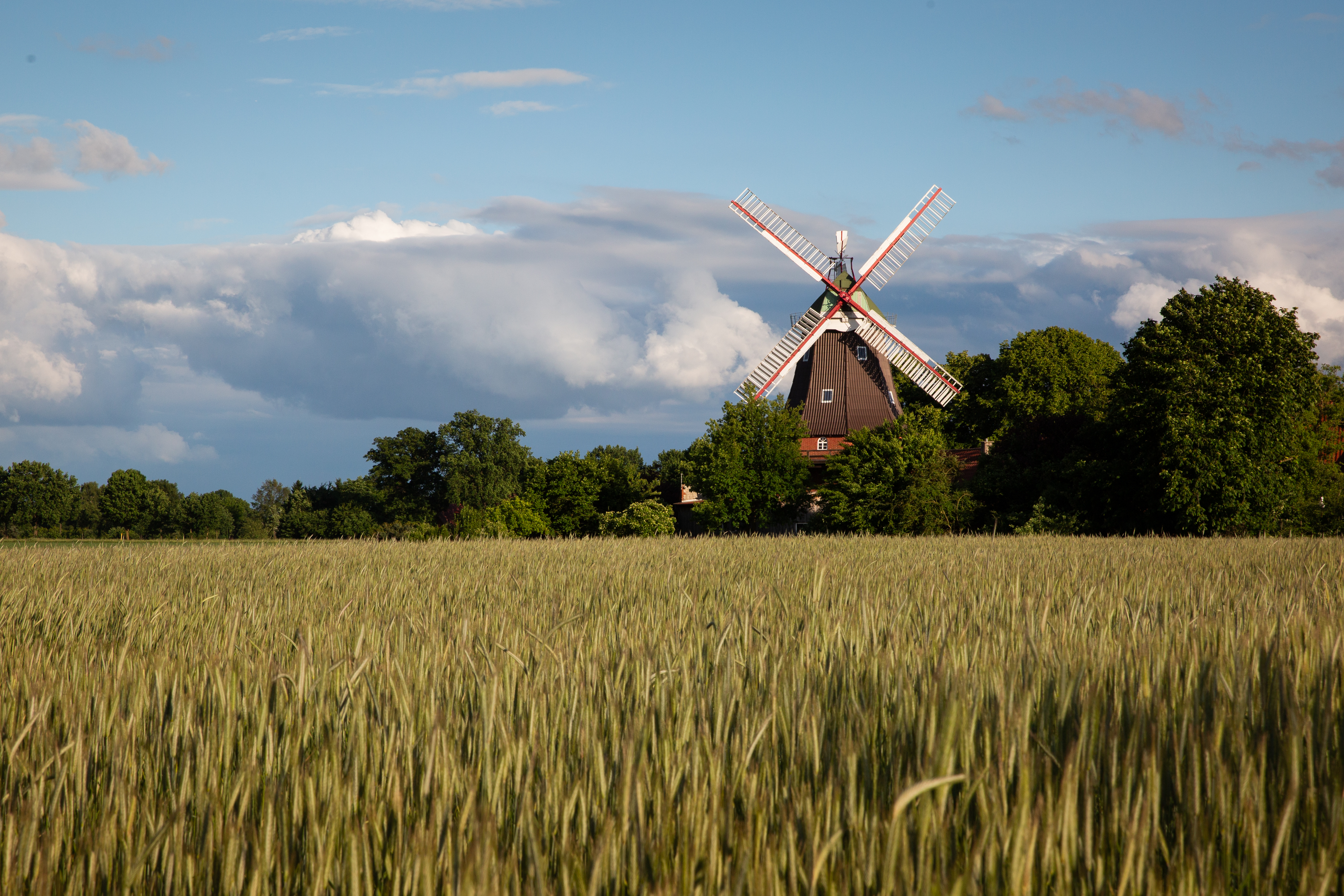 Fotoquelle: Nina Kühling