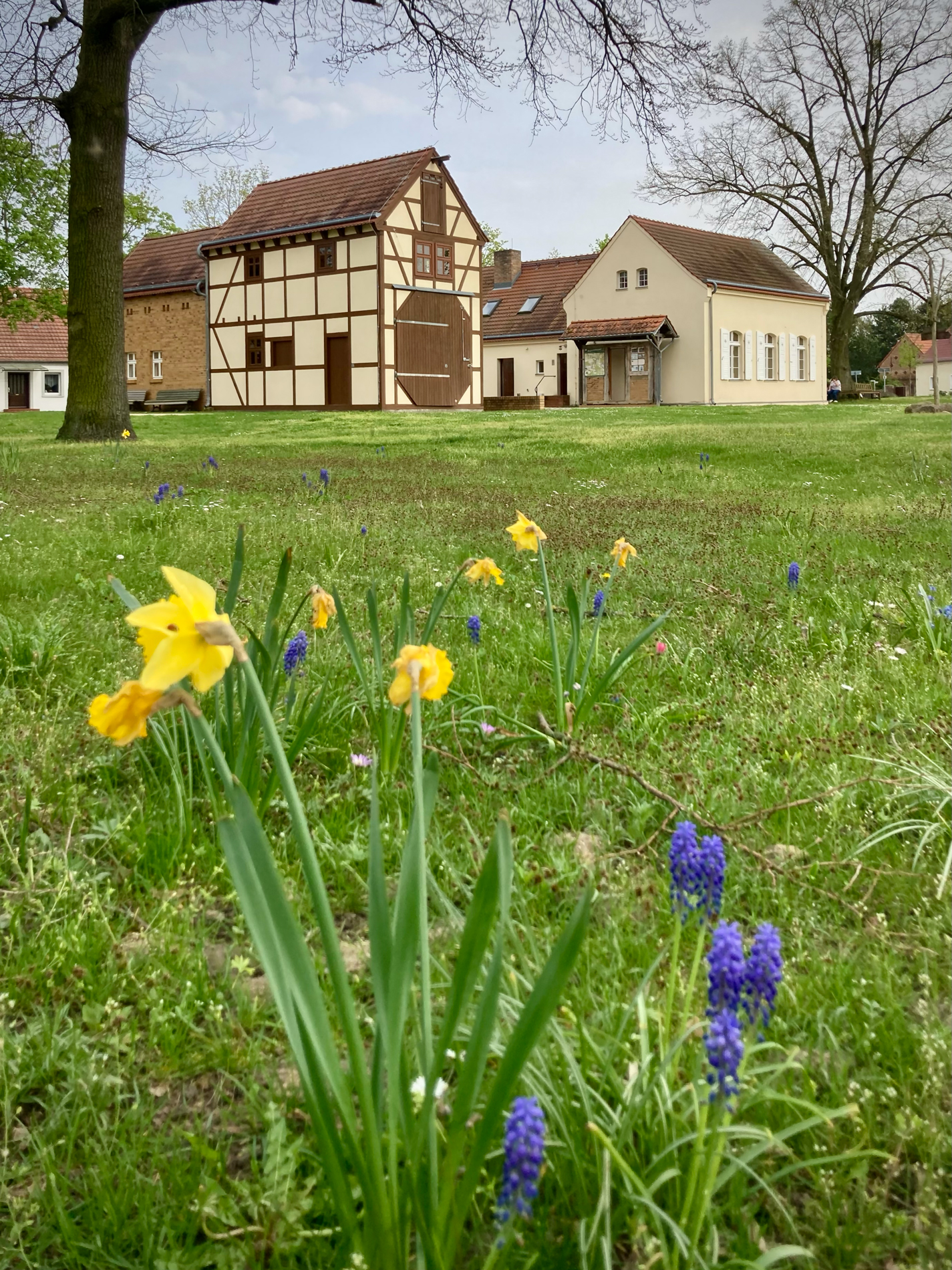 Fotoquelle: Milan Hänsel