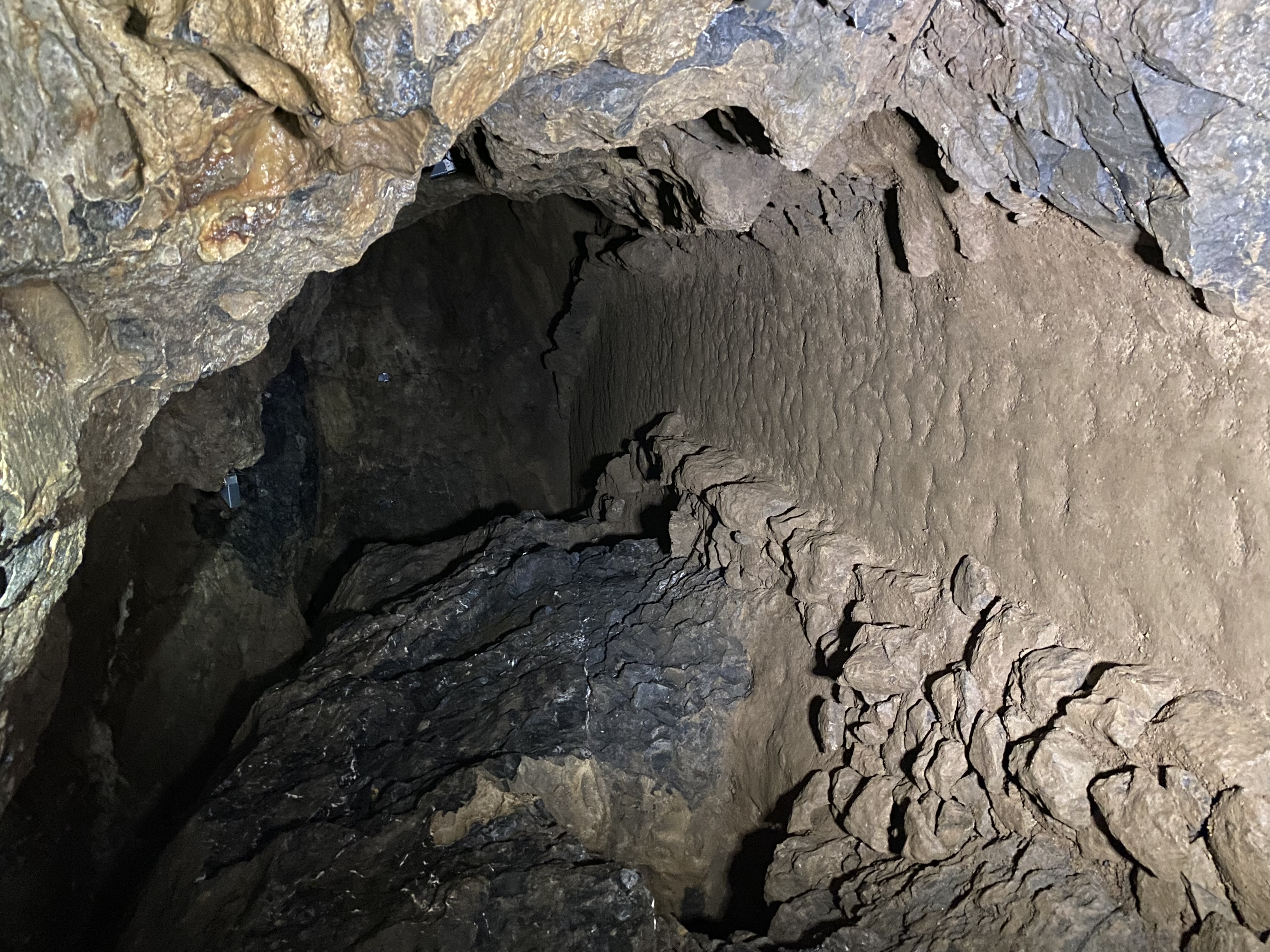 Fotoquelle: Sarah Droska