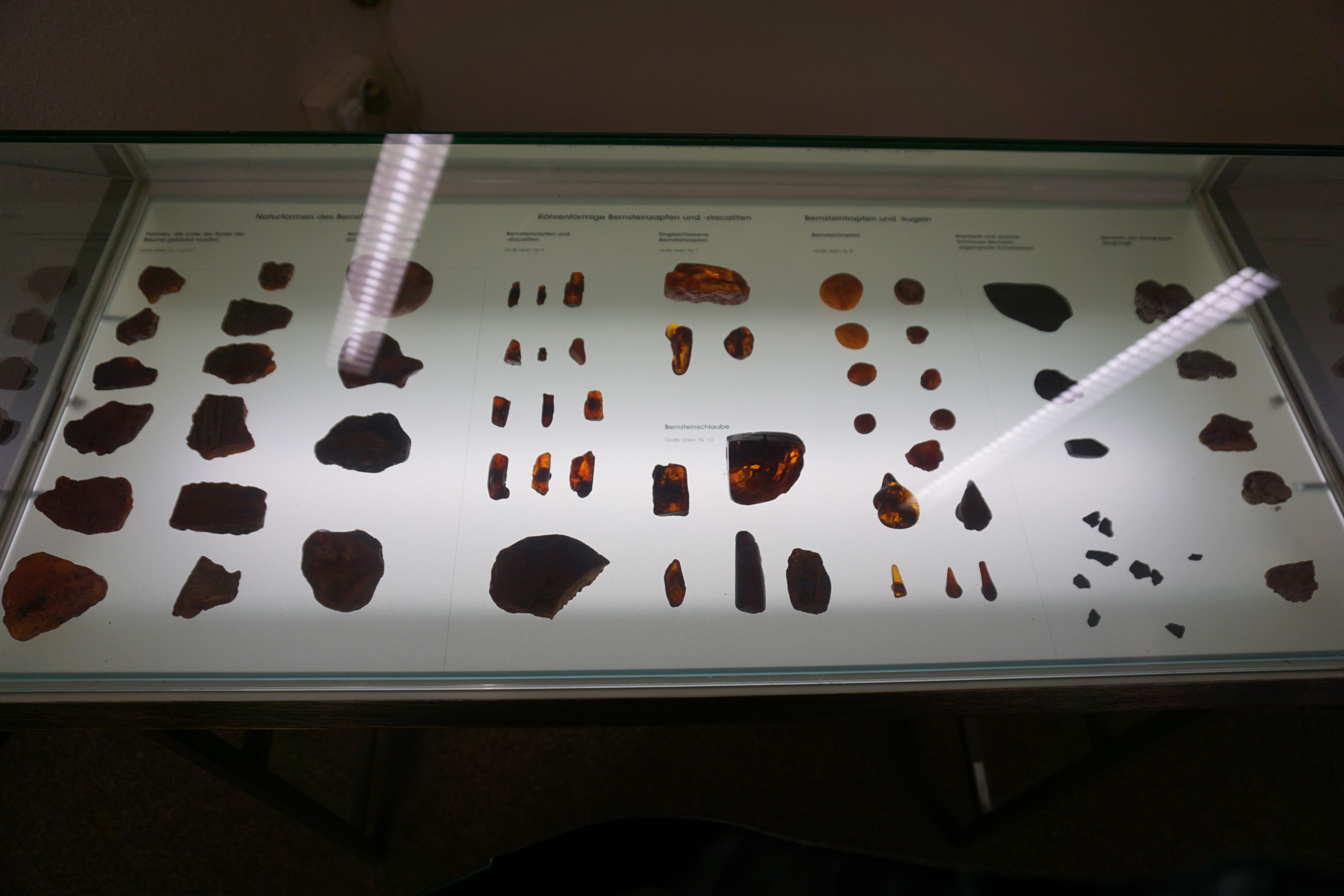 Fotoquelle: Kreismuseum Bitterfeld