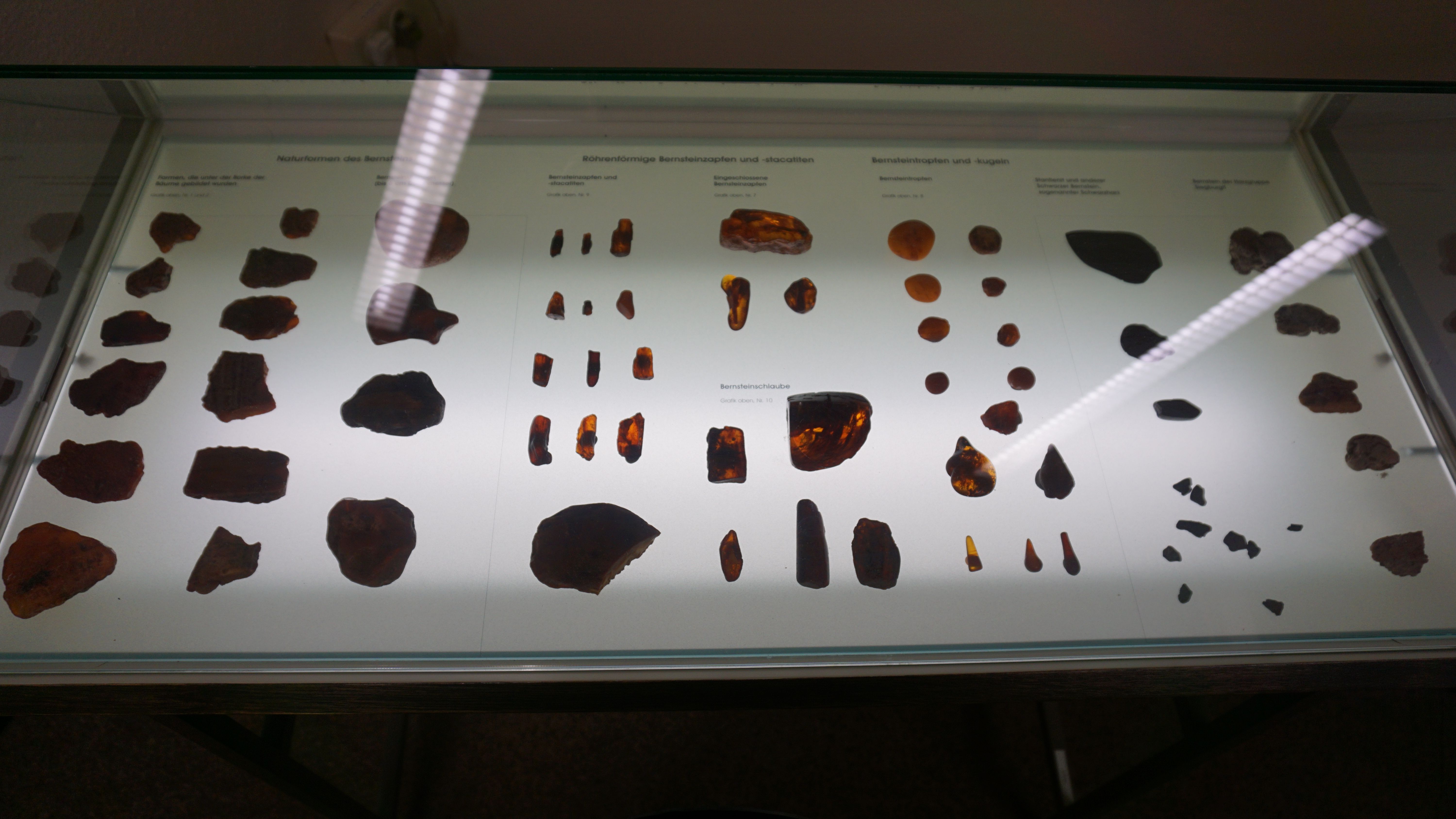 Fotoquelle: Kreismuseum Bitterfeld