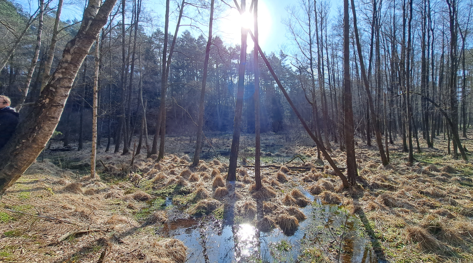 Fotoquelle: Mathias Dr. Hensch