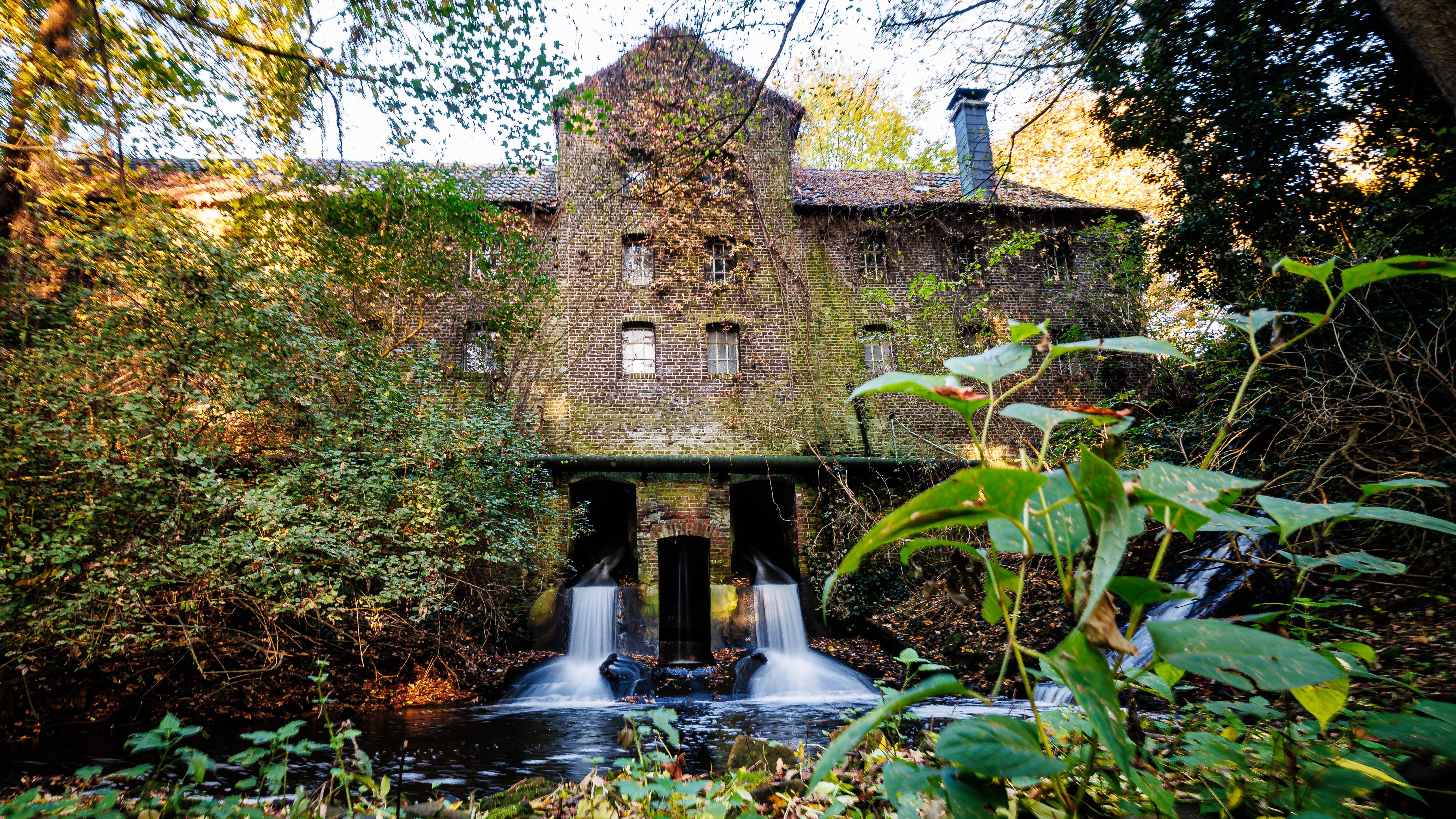 Fotoquelle: Martin Valk